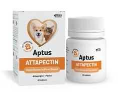 Usorteret Aptus Attapectin tabletės, 30 vnt.
