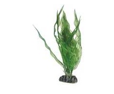 HOBBY Aquaristik Aponogeton 25 cm plastikinis