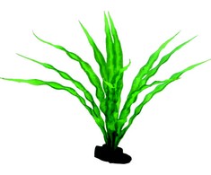 HOBBY Aquaristik 29 cm plastikinis Crinum augalas