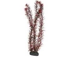 HOBBY Aquaristik HOBBY Eusteralis 39cm plastikinė augalija