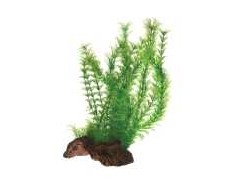 HOBBY Dirbtinė akvariumo augalų dekoracija, 30 cm