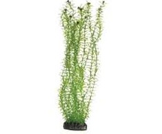 HOBBY Aquaristik Lagarosifonas 34 cm plastikinis