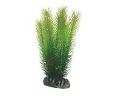 HOBBY Aquaristik Mayaca 16 cm plastikas HOBBY