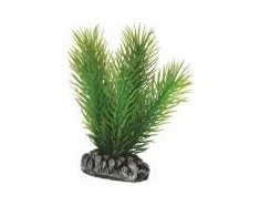 HOBBY Dirbtinė akvariumo augalų dekoracija Mayaca 7 cm