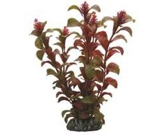 HOBBY Dirbtinė akvariumo augalų dekoracija „Rotala“