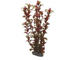 HOBBY Dirbtinė akvariumo augalų dekoracija „Rotala“, 30 cm