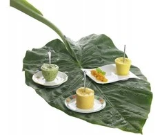 Villeroy &amp; Boch Lėkštutė Villeroy&amp;Boch NewWave, puodeliui 250ml, porcelianas, 20 x 14 cm, vnt