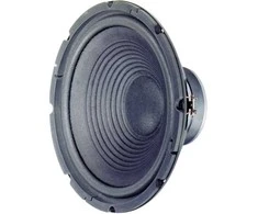 VISATON VS-W300/8 - 1.0 channels - 120 W - fu – 2500 Hz - 8 ? - Juodas
