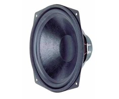 VISATON Tieftöner WS 25 E - Speaker - 80 W