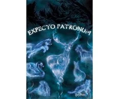 Vision Hario Poterio globėjo lenta