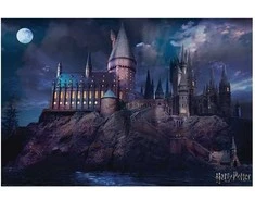Vision Hogvartso mokyklos plakatas