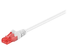 Wentronic 0,25 m 2xRJ-45 kabelis - RJ-45 - RJ-45 - kištukas/kištukas - auksinis - baltas - Cat6 (95257)