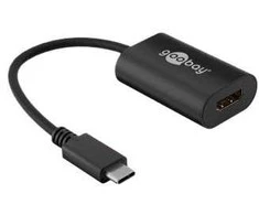 Wentronic „Goobay“ – išorinis vaizdo adapteris – juodas