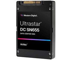 Sandisk Western Digital Dysk serwerowy WD DC SN655 30.72TB 2.5'' PCI-E x4 Gen 4 NVMe (0TS2509)