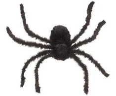 Widmann Voras, 75 cm