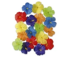 Widmann Hibisko gėlės