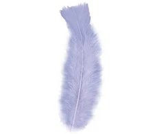 Widmann Violetinės plunksnos, 50 vnt.