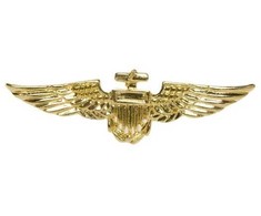 Widmann Piloto emblema