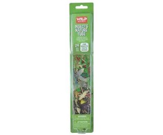 Figūrėlė Playmobil Wild Republic Insect and Arachnid Figurines, 4 yr(s), Multicolour