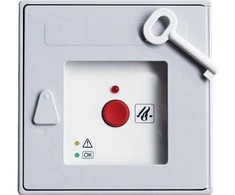 WINDOWMASTER priešgaisrinės signalizacijos mygtukas, pagrindinis WSK320, pilkas su garsiniu signalu ir atstatymo mygtuku (atidarius duris, garsinis signalas nutraukiamas).