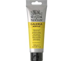 Winsor &amp; Newton Galeria Akriliniai Dažai 120 ml - Kadmio Geltonos