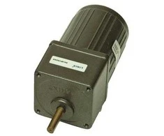 Woody Pavarų variklis YN60 15RPM