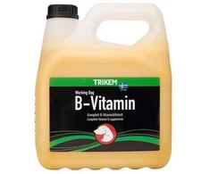 TRIKEM – B vitaminas 3L – (721.2023)