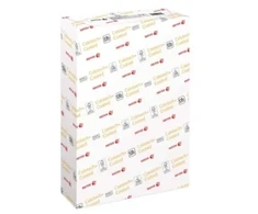 Xerox popieriaus Colotech+ GLOSS 170 A3 (170 g / 250)