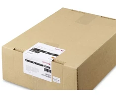 Xerox, Premium NeverTear Synthetic Light Frost, peršviečiamas, matinis, lygus poliesteris, permatomas, 125
