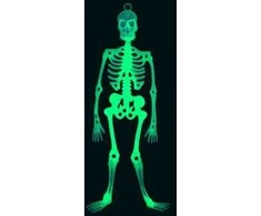 Helovino kabantis skeletas švytintis tamsoje (fluorescencinis) 33cm