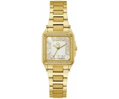 Laikrodis Watches GC LADIES Y85001L1MF