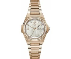 Laikrodis Watches GC LADIES Y98002L1MF