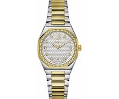 Laikrodis Watches GC LADIES Z25002L1MF