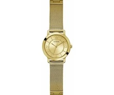 Laikrodis Watches GUESS LADIES GW0666L2