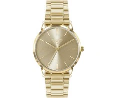 Laikrodis Watches 33 ELEMENT LADIES 332107