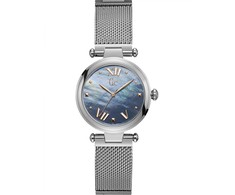 Laikrodis Watches GC LADIES Y31001L7