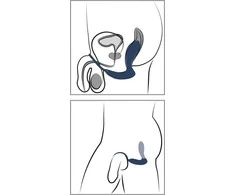 You2Toys Vibruojantis prostatos kamštis su C