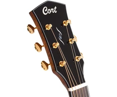 Elektro-akustinė gitara Cort Gold-A6 Bocote