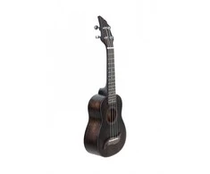 Koncertinė ukulelė Flycat Wave W10C BK