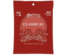 Stygos klasikinei gitarai Martin M260