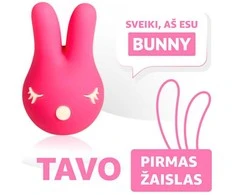 RestArt Bunny vibratorius, 6 režimai, G taško klitoris Klito spenelių stimuliavimas