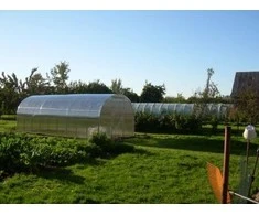 Meistro Kodas Arkinis šiltnamis KLASIKA 18 m2/6 mm danga (3x6 m)