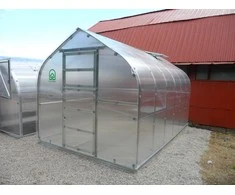 Meistro Kodas Šiltnamis STANDART*KLASIKA 10 m2/4 mm (2,5x4 m) 2 stoglangiai