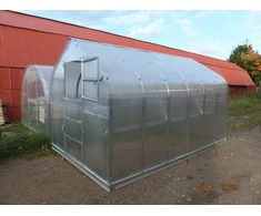 Meistro Kodas Šiltnamis STANDART*KLASIKA 10 m2/6 mm (2,5x4 m) 2 stoglangiai