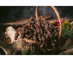 Kalakutienos konservai. Kapota mėsa