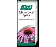 A. VOGEL Vogel Echinaforce purškalas 30ml