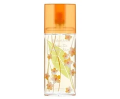 Elizabeth Arden, Žalias Tea Nectarine Blossom, Eau De Toilette, For Women, 100 ml *Tester