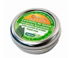 "Forte Pharma" bičių pienelis "Royal Jelly" Eukaliptus gerklės saldainiai 45g