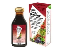 Maisto papildas Salus Floradix Floravital 250ml