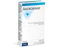 Pileje Androbiane Protect 60 vnt